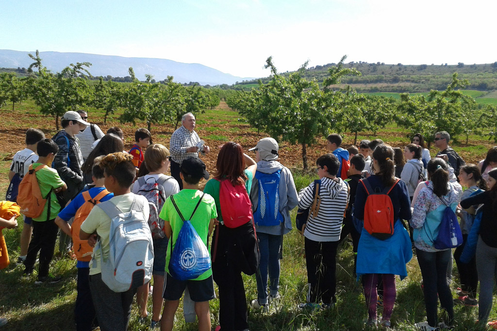 Más de 620 escolares han participado en marzo y abril en las visitas agroalimentarias del programa ‘Saboreando la Hoya de Huesca’